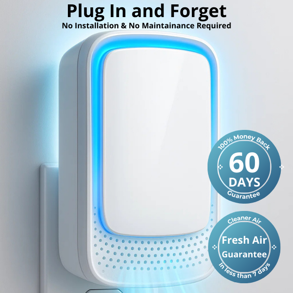 Fleune Air Quality
