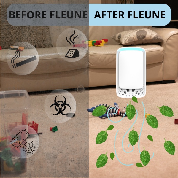 Fleune Air Quality