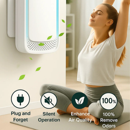 Fleune Air Quality