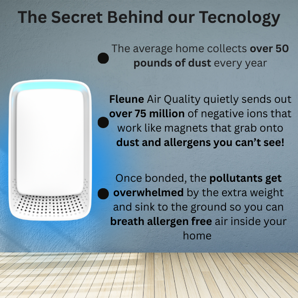 Fleune Air Quality